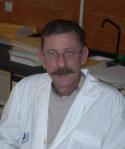 Prof. Dr. D. Jos Luis Castro Gmez